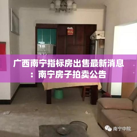 广西南宁指标房出售最新消息：南宁房子拍卖公告 