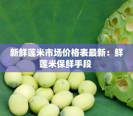 新鲜莲米市场价格表最新：鲜莲米保鲜手段 