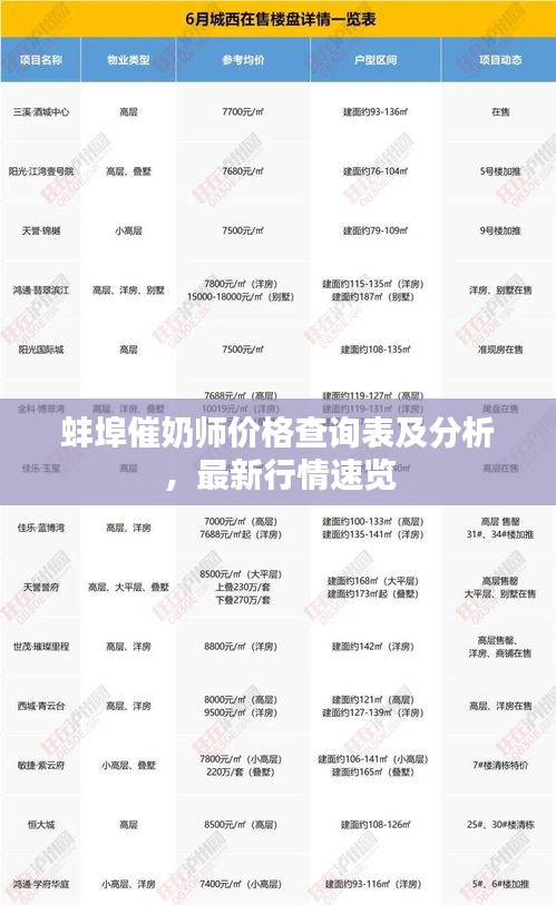 蚌埠催奶师价格查询表及分析，最新行情速览