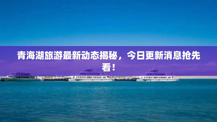 青海湖旅游最新动态揭秘，今日更新消息抢先看！