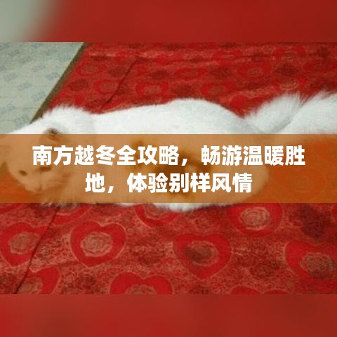 南方越冬全攻略，畅游温暖胜地，体验别样风情