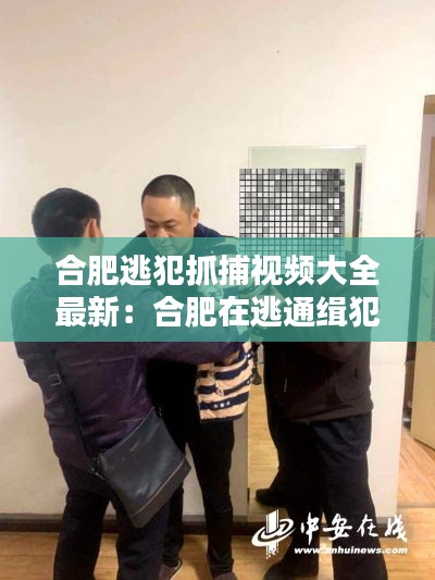 合肥逃犯抓捕视频大全最新：合肥在逃通缉犯 