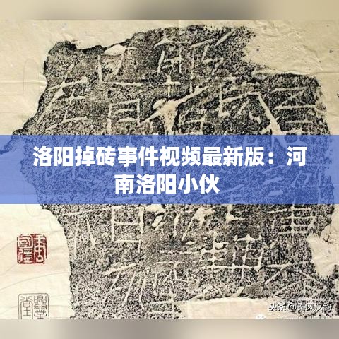 洛阳掉砖事件视频最新版：河南洛阳小伙 