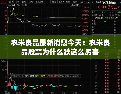 农米良品最新消息今天：农米良品股票为什么跌这么厉害 