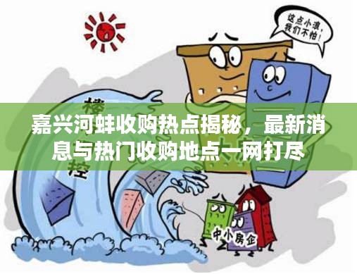 嘉兴河蚌收购热点揭秘，最新消息与热门收购地点一网打尽