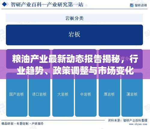 粮油产业最新动态报告揭秘，行业趋势、政策调整与市场变化