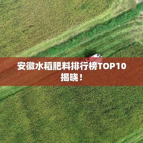 安徽水稻肥料排行榜TOP10揭晓！