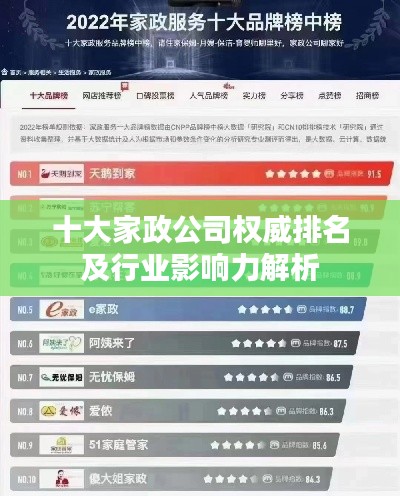 十大家政公司权威排名及行业影响力解析