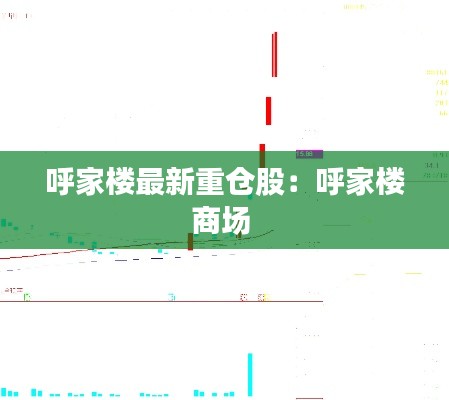 呼家楼最新重仓股：呼家楼商场 