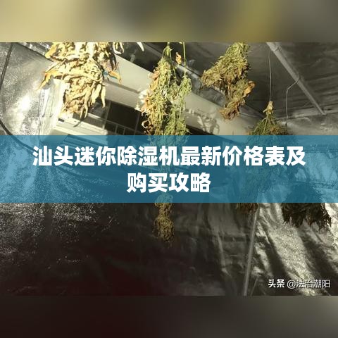 汕头迷你除湿机最新价格表及购买攻略