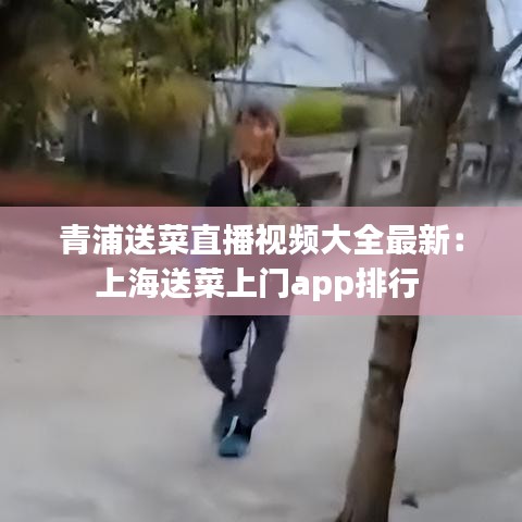 青浦送菜直播视频大全最新：上海送菜上门app排行 