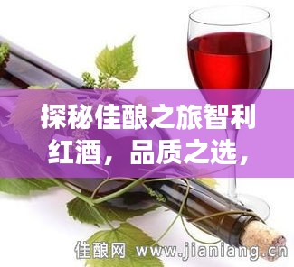 探秘佳酿之旅智利红酒，品质之选，百度带你领略风采！