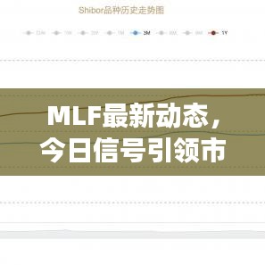 MLF最新动态，今日信号引领市场，未来展望引人关注