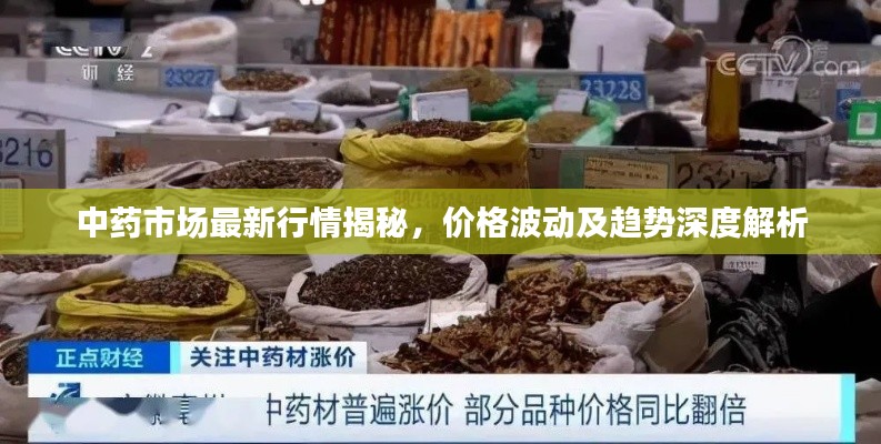 中药市场最新行情揭秘，价格波动及趋势深度解析