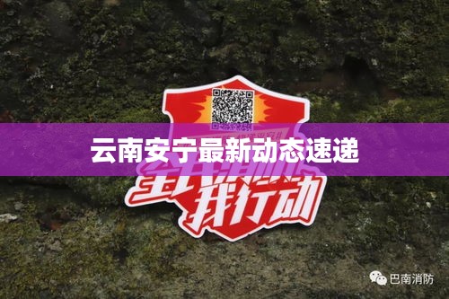 云南安宁最新动态速递