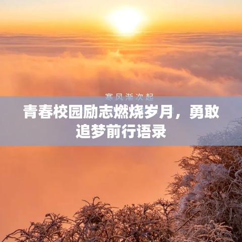 青春校园励志燃烧岁月，勇敢追梦前行语录