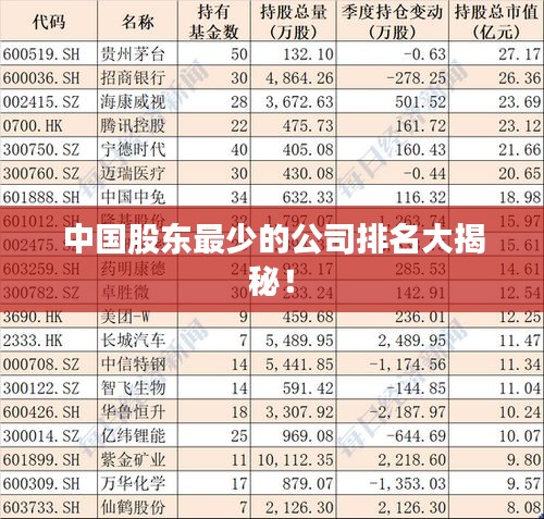 中国股东最少的公司排名大揭秘！