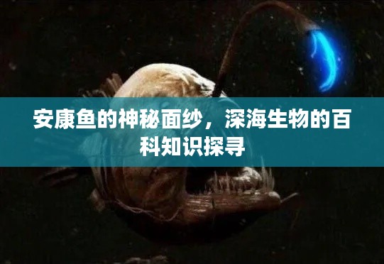 安康鱼的神秘面纱，深海生物的百科知识探寻