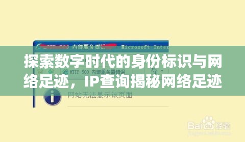 探索数字时代的身份标识与网络足迹，IP查询揭秘网络足迹之旅