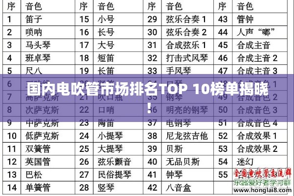 国内电吹管市场排名TOP 10榜单揭晓！