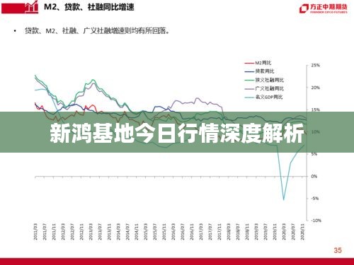 新鸿基地今日行情深度解析