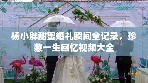 杨小胖甜蜜婚礼瞬间全记录，珍藏一生回忆视频大全