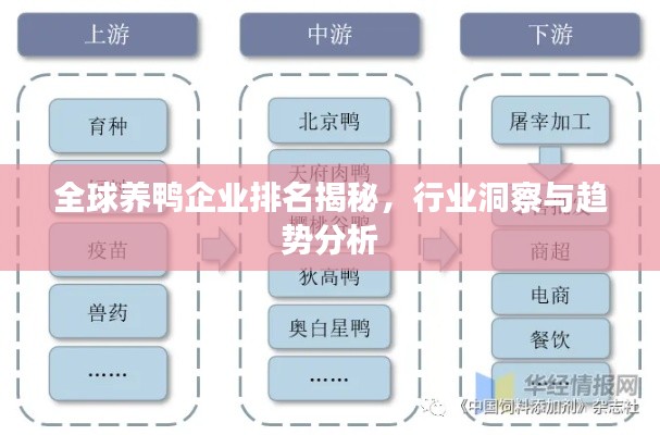 全球养鸭企业排名揭秘，行业洞察与趋势分析