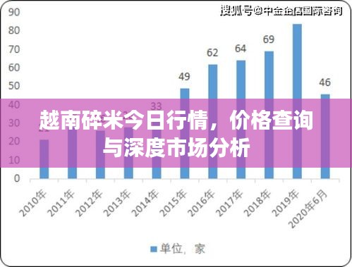 越南碎米今日行情，价格查询与深度市场分析