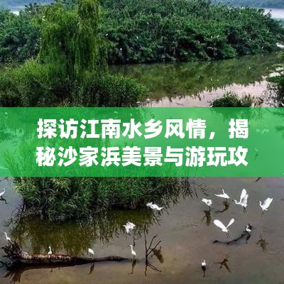 探访江南水乡风情，揭秘沙家浜美景与游玩攻略！