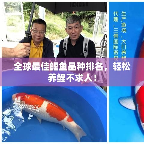 全球最佳鲤鱼品种排名，轻松养鲤不求人！