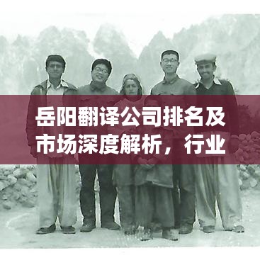 岳阳翻译公司排名及市场深度解析，行业洞察与趋势预测