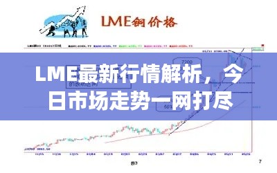 LME最新行情解析，今日市场走势一网打尽