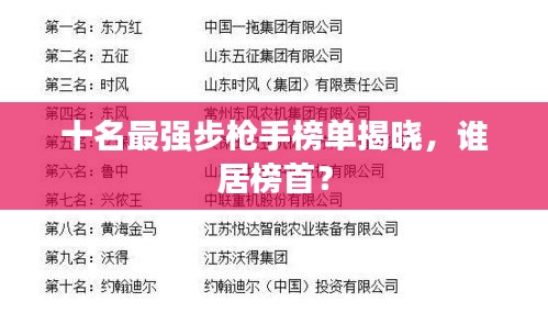 十名最强步枪手榜单揭晓，谁居榜首？