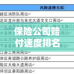 保险公司赔付速度排名大揭秘，深度探讨与解析