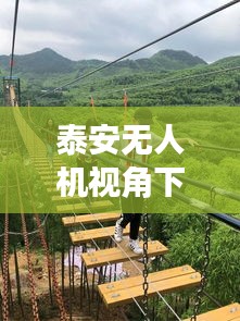 泰安无人机视角下的旅游攻略团探索之旅