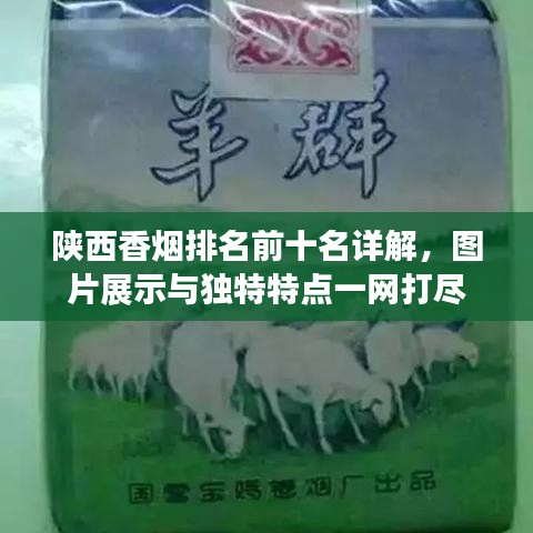 陕西香烟排名前十名详解，图片展示与独特特点一网打尽