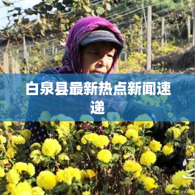 白泉县最新热点新闻速递