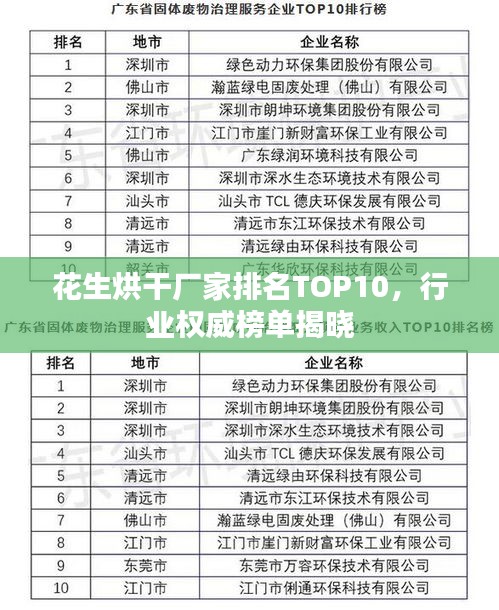 花生烘干厂家排名TOP10，行业权威榜单揭晓