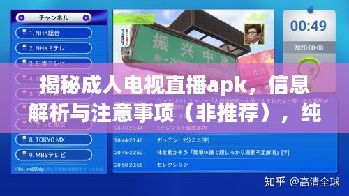 揭秘成人电视直播apk，信息解析与注意事项（非推荐），纯知识分享，无政治内容