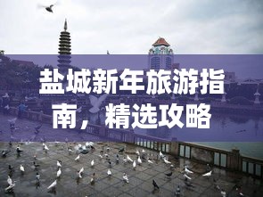 盐城新年旅游指南，精选攻略，带你玩转城市！