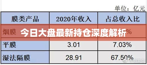 今日大盘最新持仓深度解析