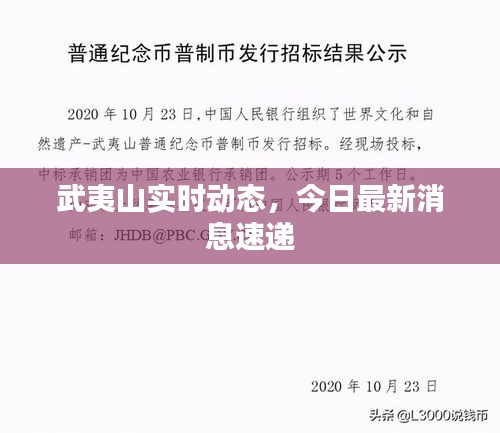 武夷山实时动态，今日最新消息速递