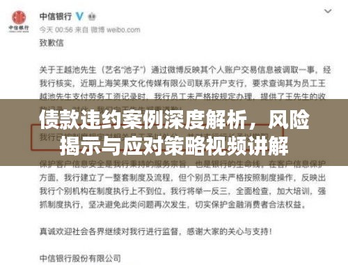 债款违约案例深度解析，风险揭示与应对策略视频讲解