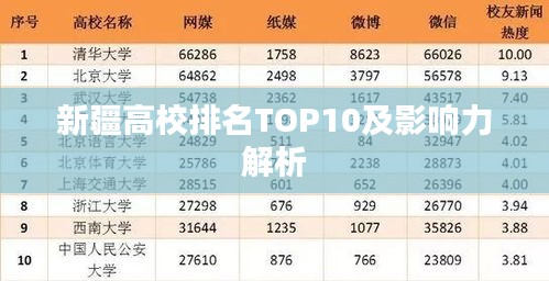 新疆高校排名TOP10及影响力解析