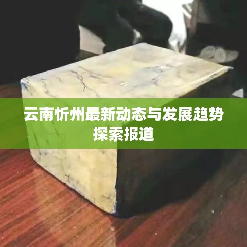 云南忻州最新动态与发展趋势探索报道