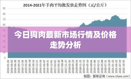 今日狗肉最新市场行情及价格走势分析