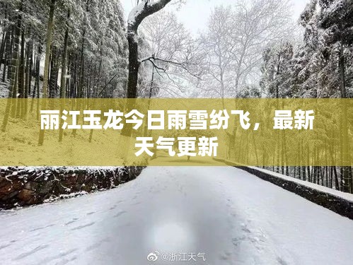 丽江玉龙今日雨雪纷飞，最新天气更新