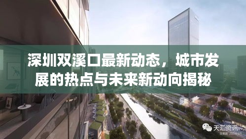 深圳双溪口最新动态，城市发展的热点与未来新动向揭秘