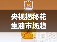 央视揭秘花生油市场趋势，品质关注与消费者权益保障的最新报道