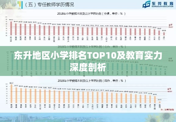 东升地区小学排名TOP10及教育实力深度剖析